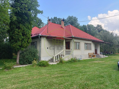 Casă de vânzare Ibănesți sat cu teren aferent de 4500 mp