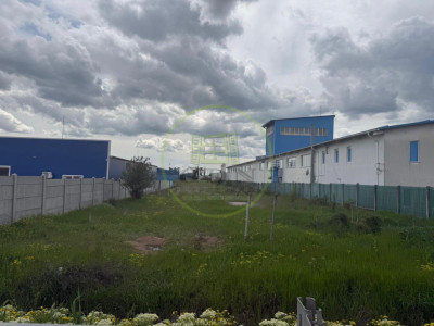 Teren intravilan, 5000 MP, comuna Malu Mare, zona Selgros
