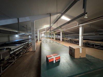 De vânzare teren + hale industriale in Florești, Comision 0!