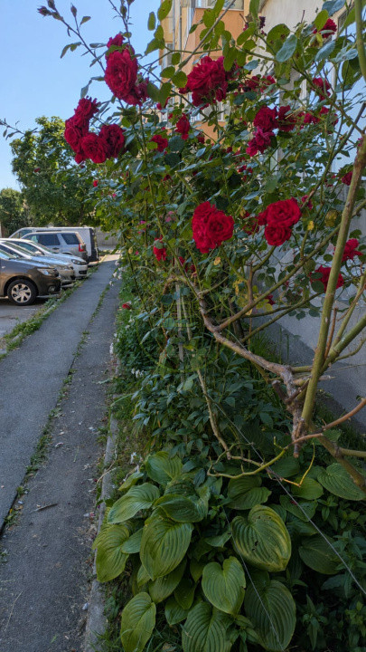 Apartament cu 3 camere de închiriat în Terezian, aproape de parc, Lidl si Profi
