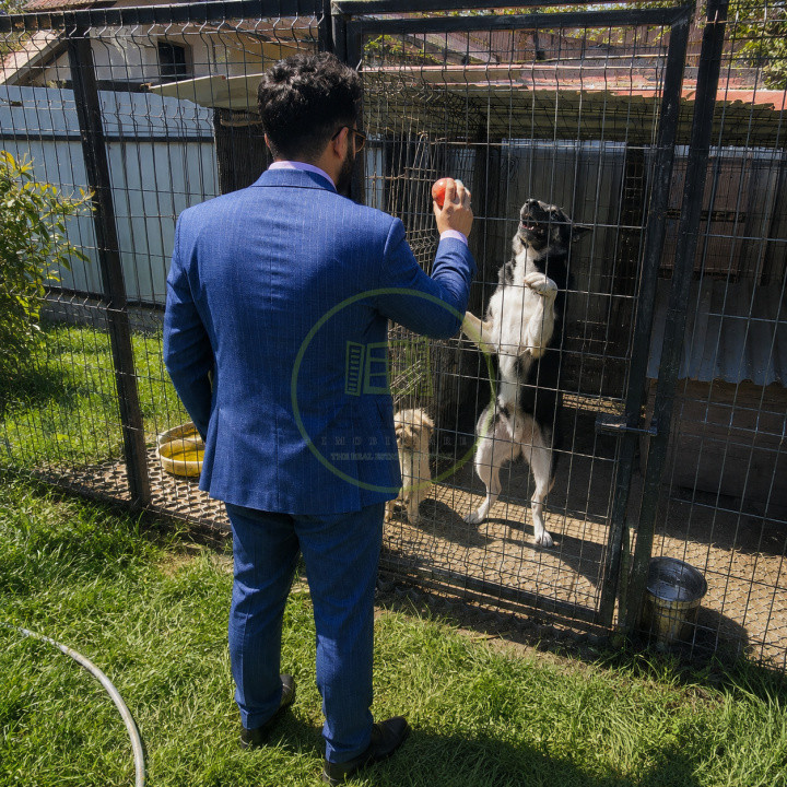 Proprietate deosebită în Zărnești – Două case, spațiu comercial și teren generos