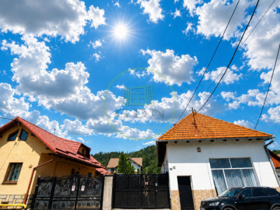 Proprietate deosebită în Zărnești – Două case, spațiu comercial și teren generos