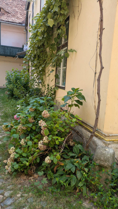 Apartament cu istorie și personalitate, 2 camere, Centrul Istoric Sibiu