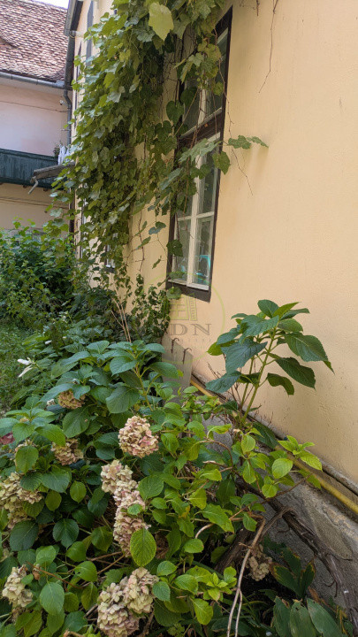 Apartament cu istorie și personalitate, 2 camere, Centrul Istoric Sibiu