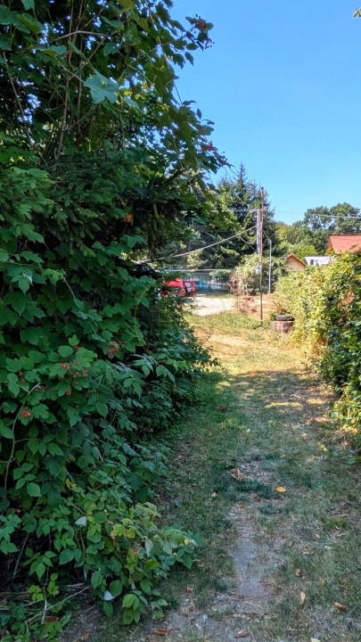 Teren intravilan cu poveste la Tocile - 1100 mp cu livadă, cabană + rulotă