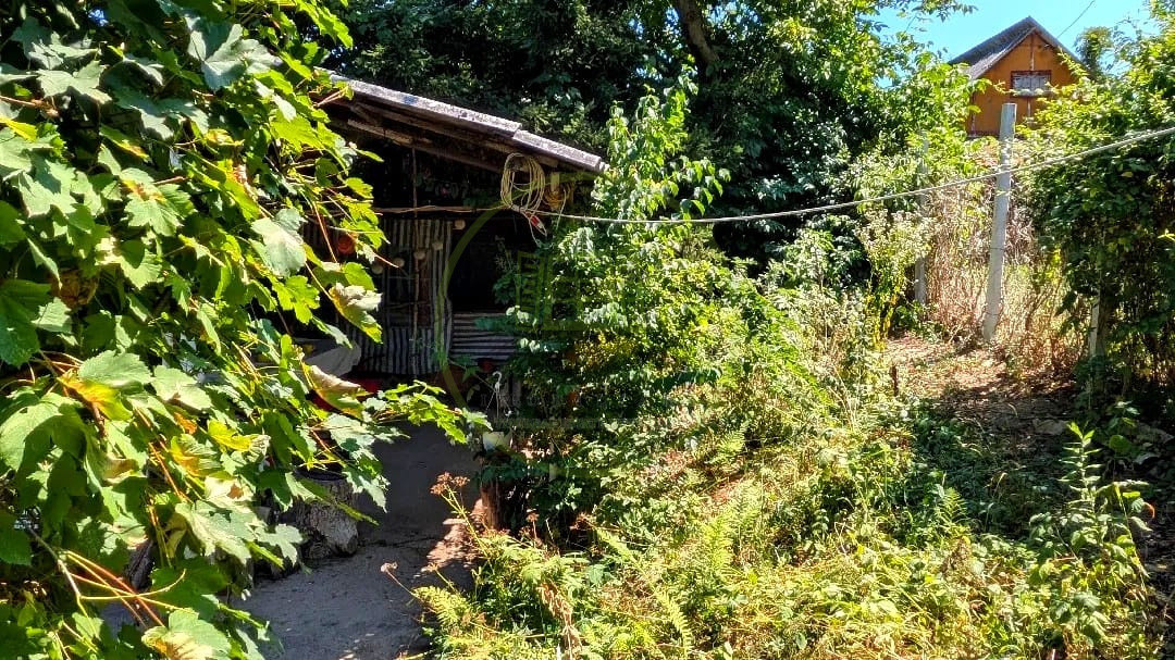 Teren intravilan cu poveste la Tocile - 1100 mp cu livadă, cabană + rulotă