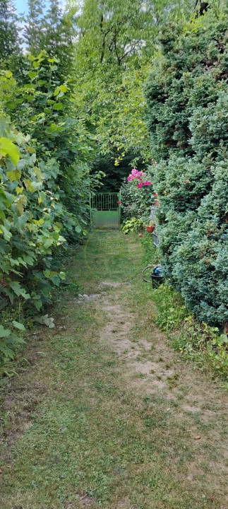 Teren intravilan cu poveste la Tocile - 1100 mp cu livadă, cabană + rulotă