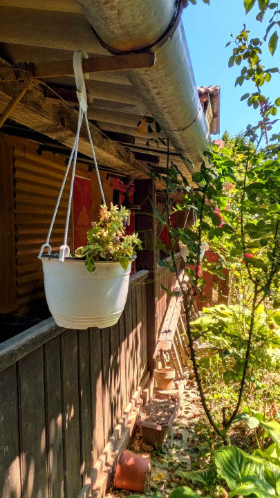 Teren intravilan cu poveste la Tocile - 1100 mp cu livadă, cabană + rulotă