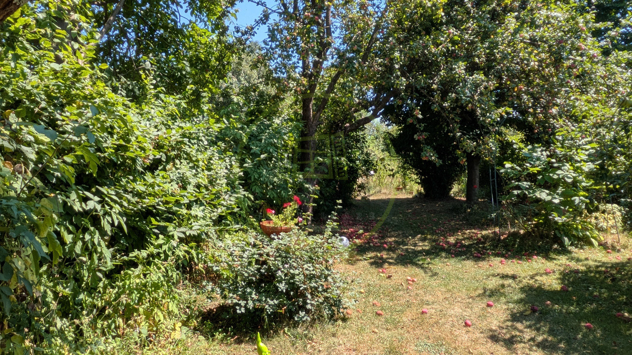 Teren intravilan cu poveste la Tocile - 1100 mp cu livadă, cabană + rulotă