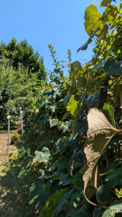 Teren intravilan cu poveste la Tocile - 1100 mp cu livadă, cabană + rulotă