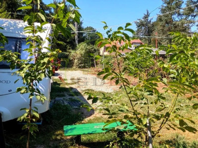 Teren intravilan cu poveste la Tocile - 1100 mp cu livadă, cabană + rulotă