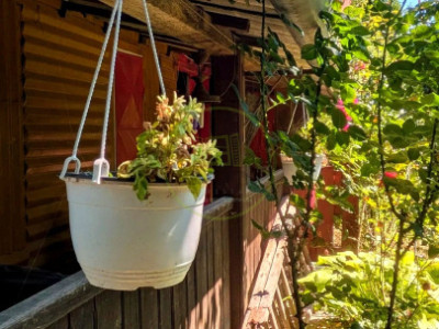 Teren intravilan cu poveste la Tocile - 1100 mp cu livadă, cabană + rulotă