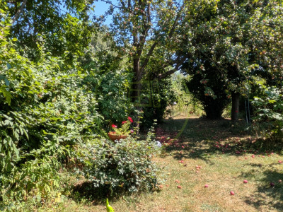Teren intravilan cu poveste la Tocile - 1100 mp cu livadă, cabană + rulotă