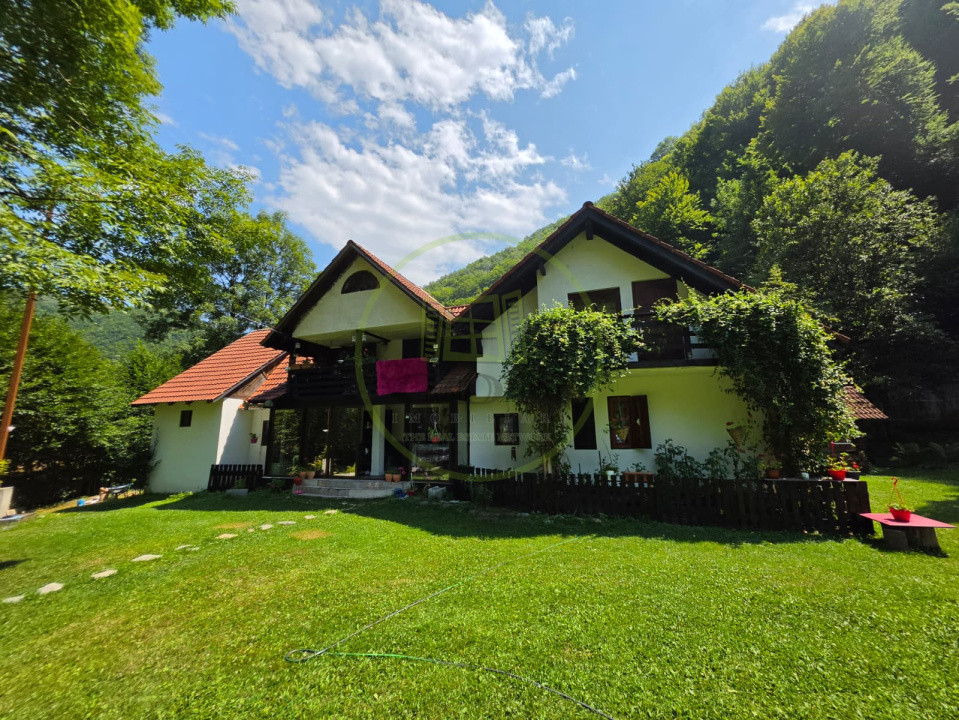 🏡 PROPRIETATE EXTRAORDINARĂ– LOTRIOARA, JUDEȚUL SIBIU! 🌲