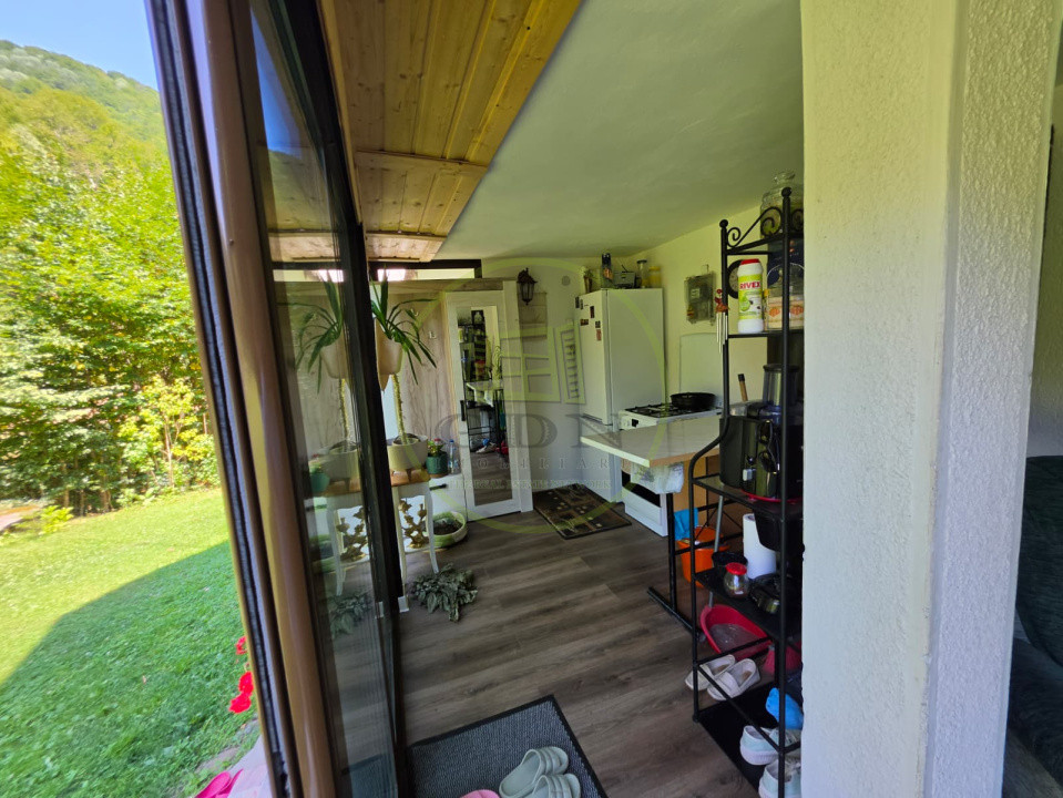 🏡 PROPRIETATE EXTRAORDINARĂ– LOTRIOARA, JUDEȚUL SIBIU! 🌲