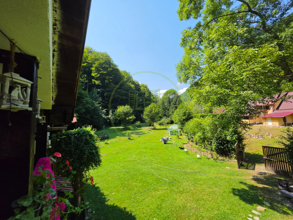 🏡 PROPRIETATE EXTRAORDINARĂ– LOTRIOARA, JUDEȚUL SIBIU! 🌲