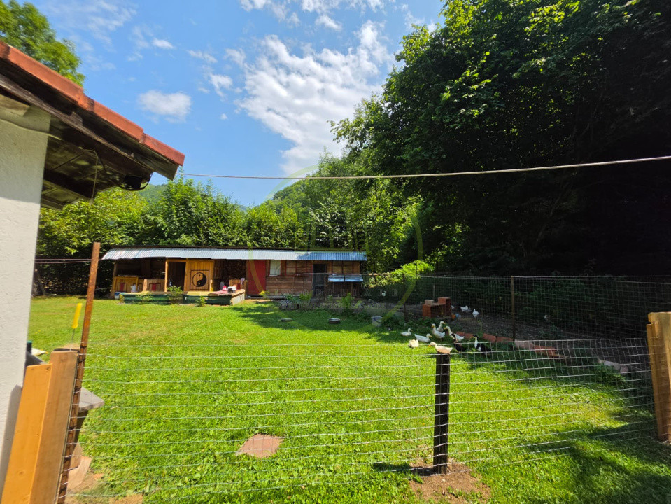 🏡 PROPRIETATE EXTRAORDINARĂ– LOTRIOARA, JUDEȚUL SIBIU! 🌲