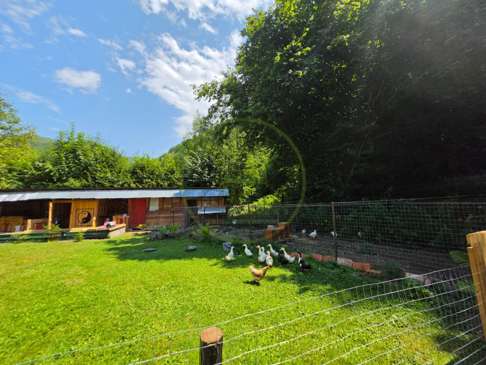 🏡 PROPRIETATE EXTRAORDINARĂ– LOTRIOARA, JUDEȚUL SIBIU! 🌲