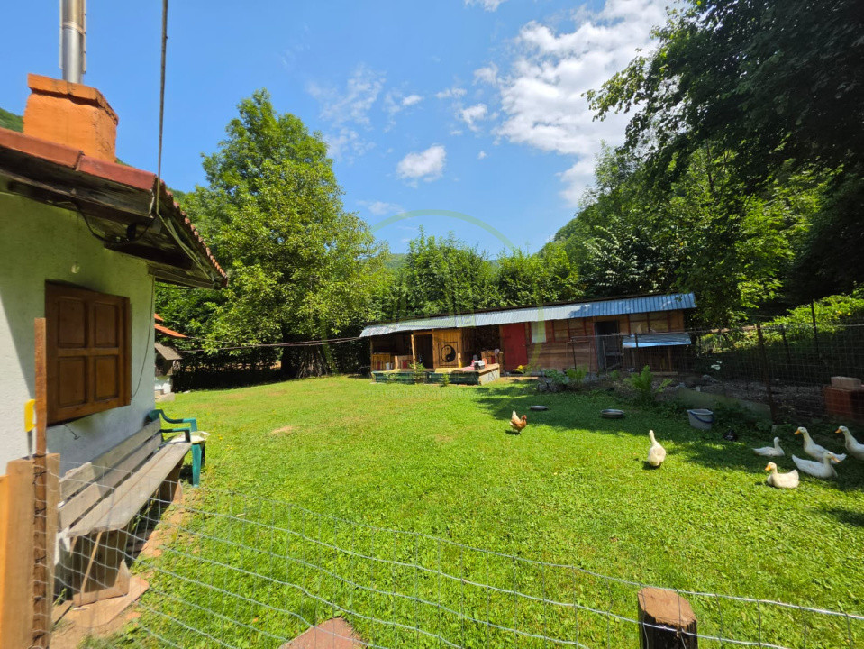 🏡 PROPRIETATE EXTRAORDINARĂ– LOTRIOARA, JUDEȚUL SIBIU! 🌲