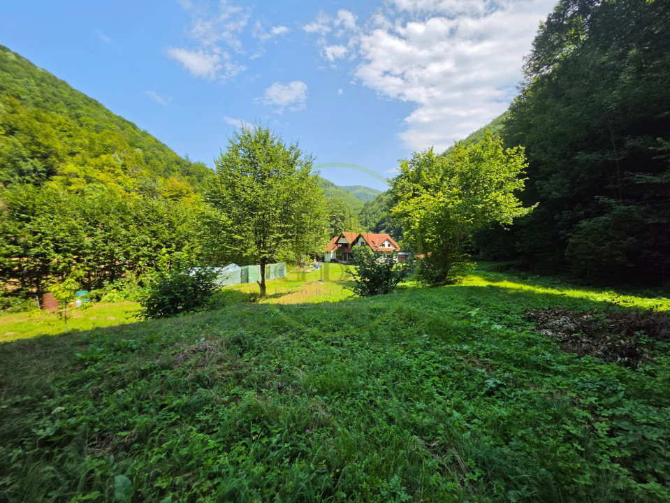🏡 PROPRIETATE EXTRAORDINARĂ– LOTRIOARA, JUDEȚUL SIBIU! 🌲
