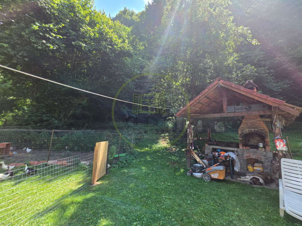 🏡 PROPRIETATE EXTRAORDINARĂ– LOTRIOARA, JUDEȚUL SIBIU! 🌲