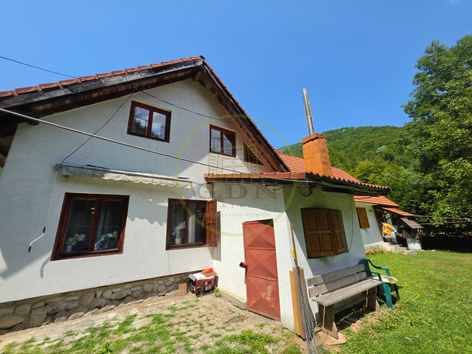 🏡 PROPRIETATE EXTRAORDINARĂ– LOTRIOARA, JUDEȚUL SIBIU! 🌲