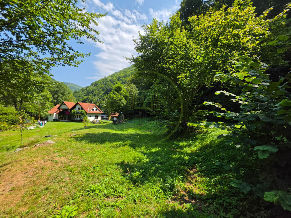 🏡 PROPRIETATE EXTRAORDINARĂ– LOTRIOARA, JUDEȚUL SIBIU! 🌲