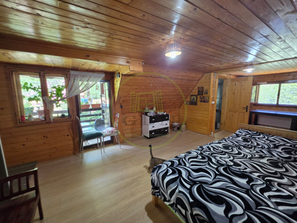 🏡 PROPRIETATE EXTRAORDINARĂ– LOTRIOARA, JUDEȚUL SIBIU! 🌲