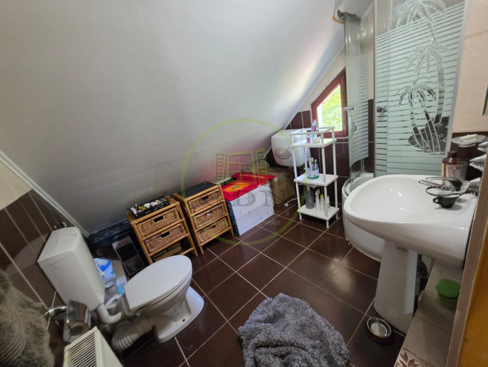 🏡 PROPRIETATE EXTRAORDINARĂ– LOTRIOARA, JUDEȚUL SIBIU! 🌲