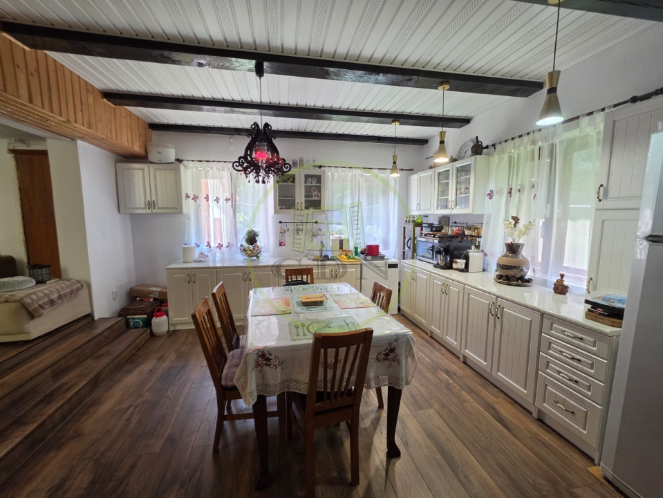 🏡 PROPRIETATE EXTRAORDINARĂ– LOTRIOARA, JUDEȚUL SIBIU! 🌲