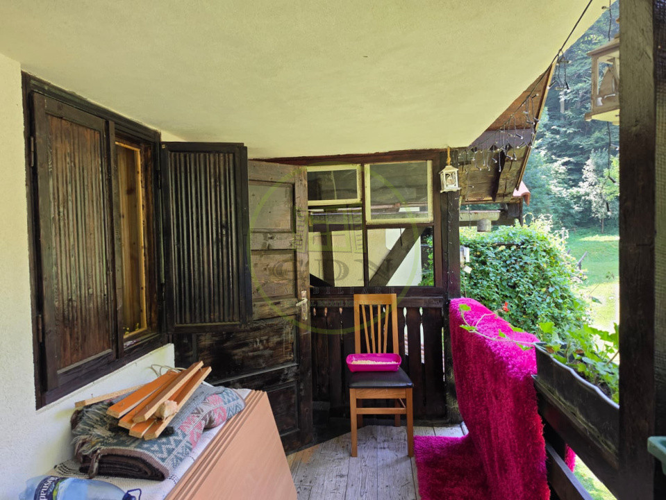 🏡 PROPRIETATE EXTRAORDINARĂ– LOTRIOARA, JUDEȚUL SIBIU! 🌲
