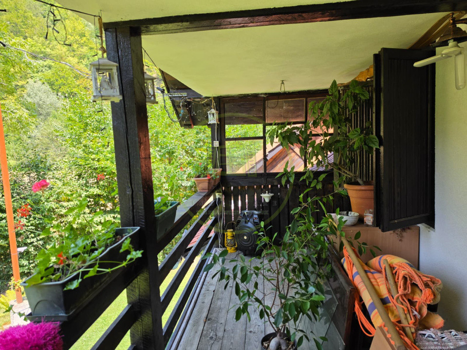 🏡 PROPRIETATE EXTRAORDINARĂ– LOTRIOARA, JUDEȚUL SIBIU! 🌲