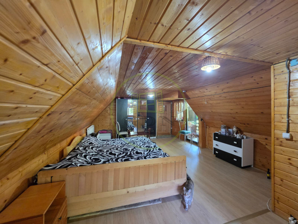 🏡 PROPRIETATE EXTRAORDINARĂ– LOTRIOARA, JUDEȚUL SIBIU! 🌲