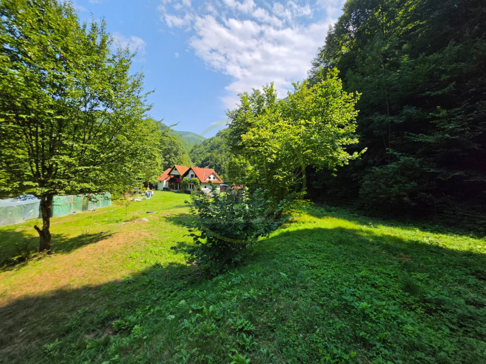 🏡 PROPRIETATE EXTRAORDINARĂ– LOTRIOARA, JUDEȚUL SIBIU! 🌲