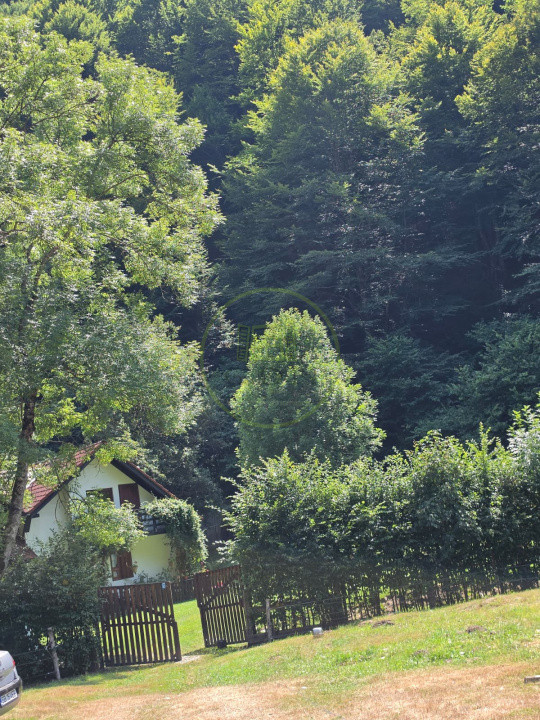 🏡 PROPRIETATE EXTRAORDINARĂ– LOTRIOARA, JUDEȚUL SIBIU! 🌲