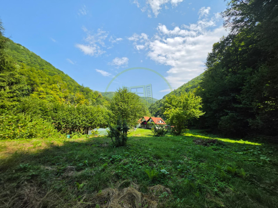 🏡 PROPRIETATE EXTRAORDINARĂ– LOTRIOARA, JUDEȚUL SIBIU! 🌲