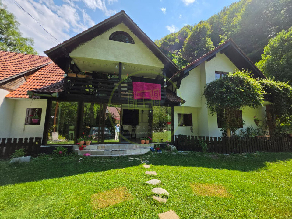 🏡 PROPRIETATE EXTRAORDINARĂ– LOTRIOARA, JUDEȚUL SIBIU! 🌲