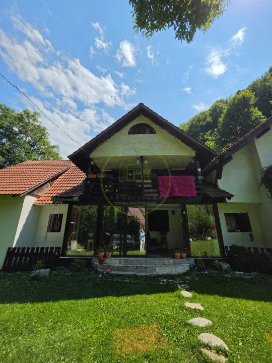 🏡 PROPRIETATE EXTRAORDINARĂ– LOTRIOARA, JUDEȚUL SIBIU! 🌲