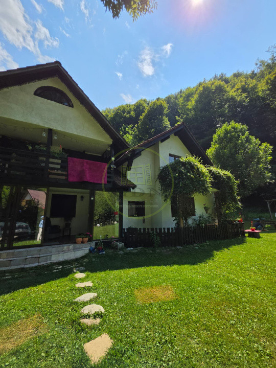 🏡 PROPRIETATE EXTRAORDINARĂ– LOTRIOARA, JUDEȚUL SIBIU! 🌲