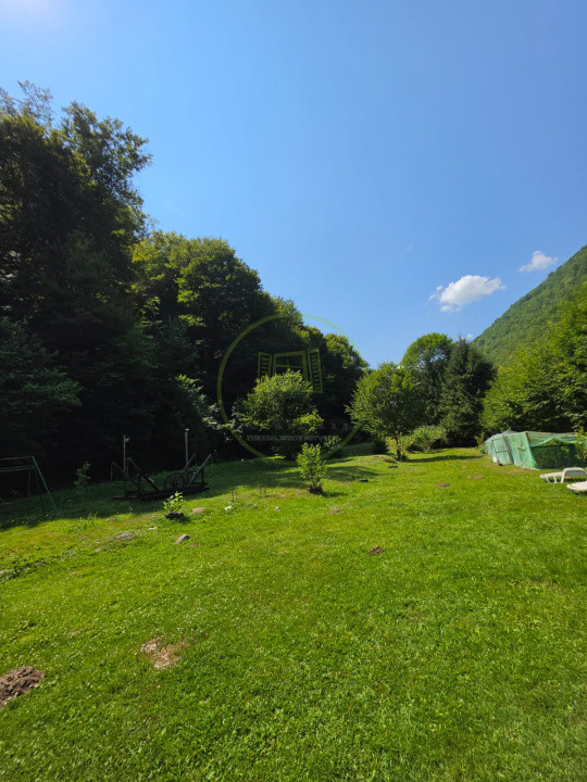 🏡 PROPRIETATE EXTRAORDINARĂ– LOTRIOARA, JUDEȚUL SIBIU! 🌲