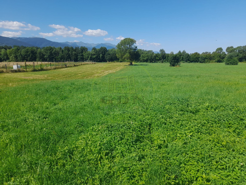 Vanzare teren intravilan apropiere de zona turistica  Sebes  Judetul brasov