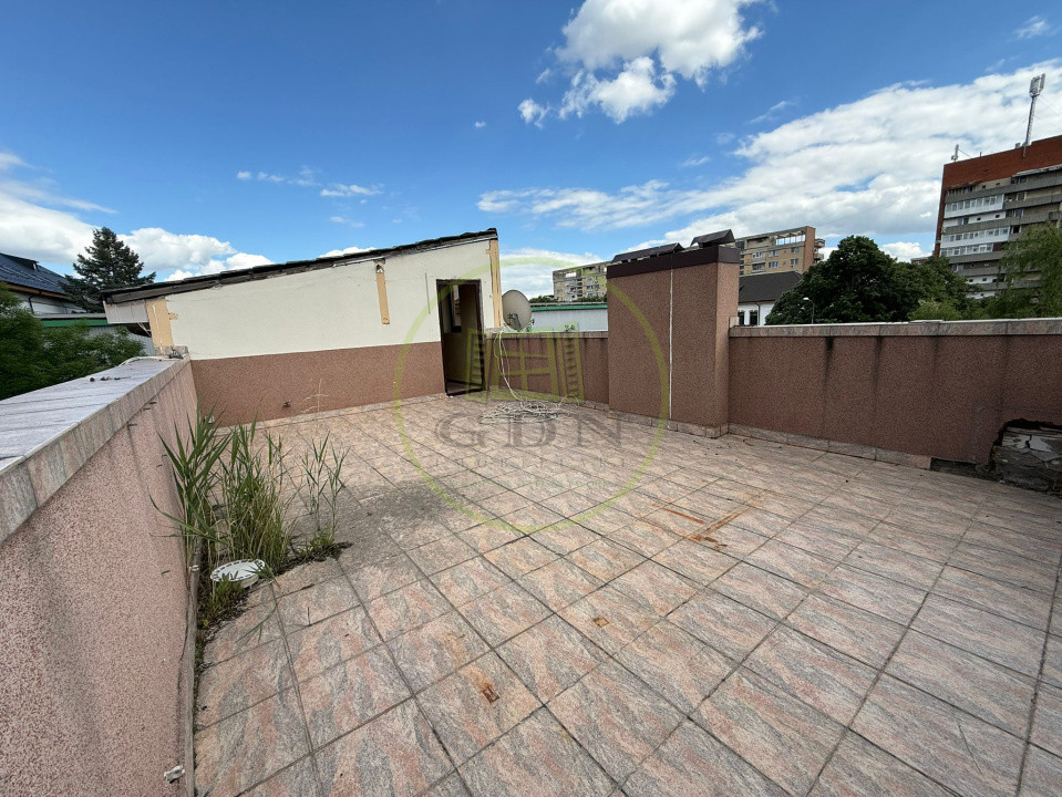 Casa, D+P+M, 435,16 mp, Centru, Zona KM 0