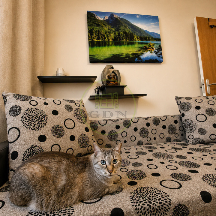 Vânzare apartament 3 camere Florilor Brașov