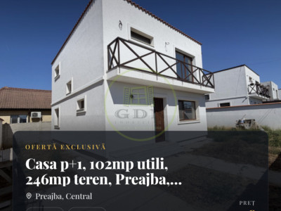 Casa p+1, 102mp utili, 246mp teren, Preajba, zona Damila