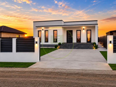 Casa plan parter, 90 mp utili, 669 mp teren, Pielesti