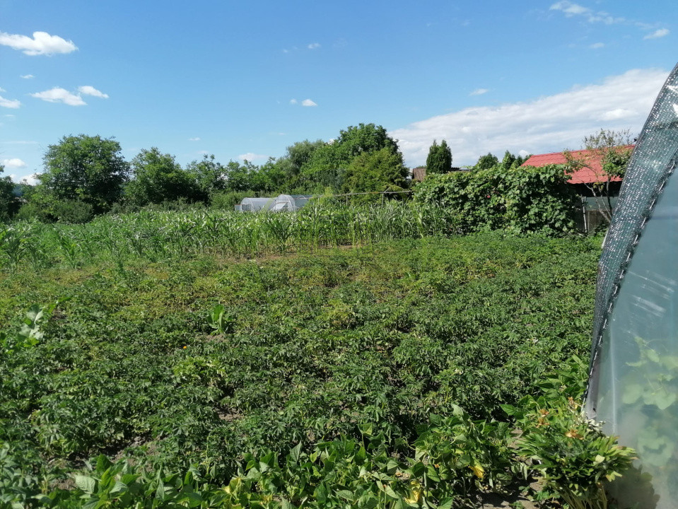 Casă de vânzare în mun. Reghin