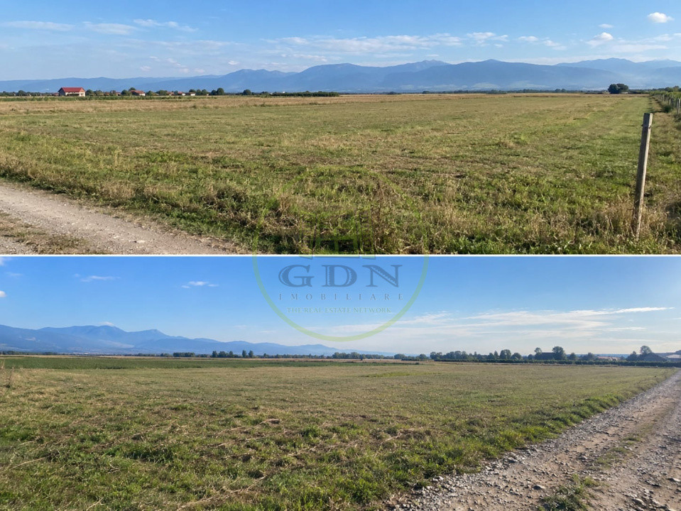 🌳 TEREN EXTRAVILAN 4.700 MP – AVrig, lângă pădure | 55.000 €