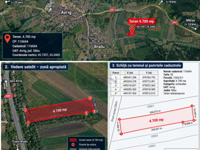 🌳 TEREN EXTRAVILAN 4.700 MP – AVrig, lângă pădure | 55.000 €