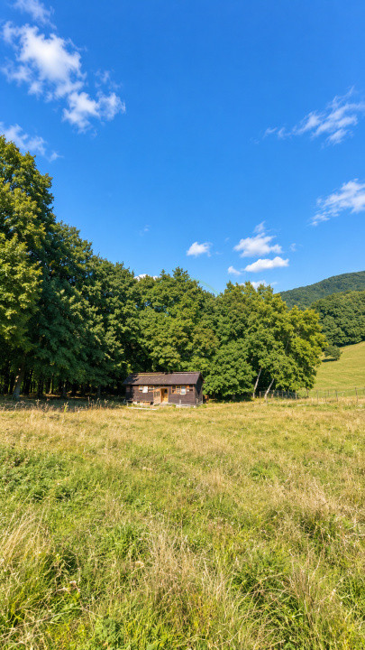 Vânzare teren extravilan pădure+ Pășune 17 000 mp Covasna