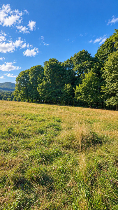 Vânzare teren extravilan pădure+ Pășune 17 000 mp Covasna
